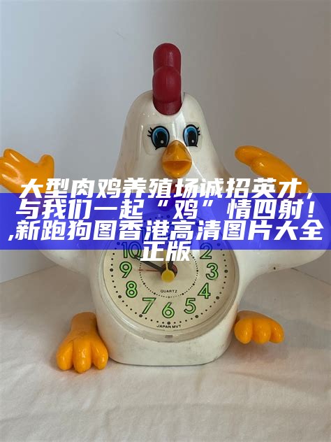 肉鸡价格今日行情：探秘肉毛鸡价格的“鸡”秘, 澳门开奖的最新