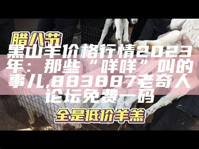 羊肉市场价格今日价：那些你不得不知的“羊肉价”小秘密, 澳门码开奖