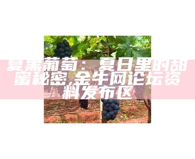 夏黑葡萄：夏日里的甜蜜秘密, 金牛网论坛资料发布区