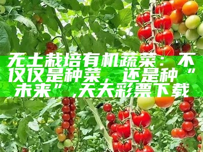 无土栽培有机蔬菜：不仅仅是种菜，还是种“未来”, 天天彩票下载