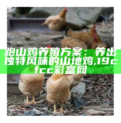 跑山鸡养殖方案：养出独特风味的山地鸡, 19cfcc彩富网