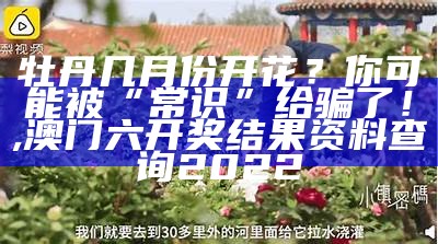 牡丹几月份开花？你可能被“常识”给骗了！, 澳门六开奖结果资料查询2022