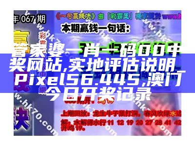 管家婆正版今晚开奖结果解读及效率资料落实, 澳门开奖4238开奖记录