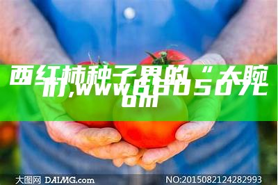 西红柿种子界的“大腕”们, www660507com