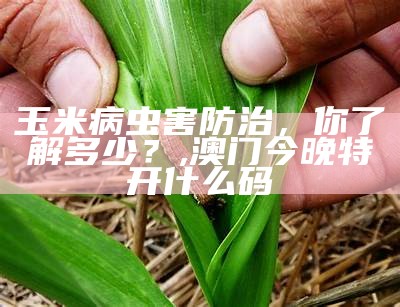 玉米虫害，让你哭笑不得的“小秘密”, 马会传真澳门免费资料十年