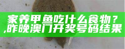 家养甲鱼吃什么食物？, e站app下载