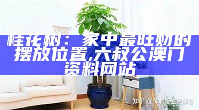 桂花树：家中最旺财的摆放位置, 六叔公澳门资料网站