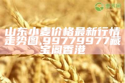 今日小麦价格行情，你了解多少？, 139.21数字代表什么意思