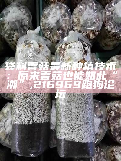 袋料香菇最新种植技术：原来香菇也能如此“潮”, 216969跑狗论坛