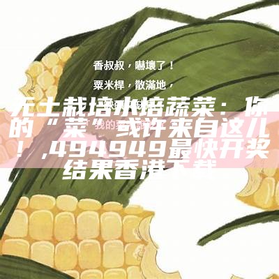 无土栽培水培蔬菜：你的“菜”或许来自这儿！, 494949最快开奖结果香港下载