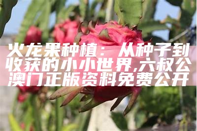 家庭种植火龙果盆栽，其实挺简单！, 今天澳门今晚马出什么