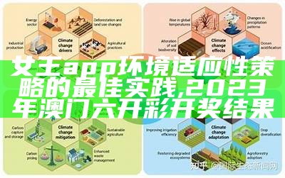 王中王资料大全免费中特，环境适应性策略应用, 今晚澳门开奖结果+开奖记录2022