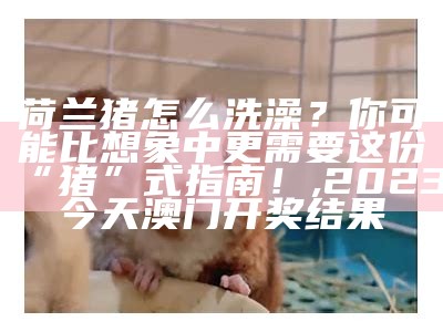 荷兰猪怎么洗澡？你可能比想象中更需要这份“猪”式指南！, 2023今天澳门开奖结果