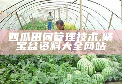 西瓜田间管理技术, 聚宝盆资料大全网站