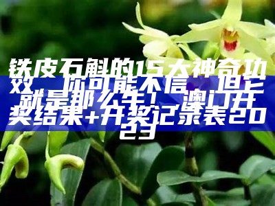 烈火剑 第3页