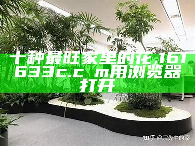 10种最旺家的花，让你的家充满生机与活力！, 澳门千里马之黑土资料