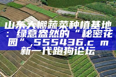 山东大棚蔬菜种植基地：绿意盎然的“秘密花园”, 555436.cσm新一代跑狗论坛