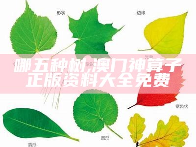 留学指南 第9页