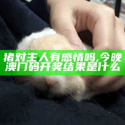 猪对主人有感情吗, 今晚澳门码开奖结果是什么