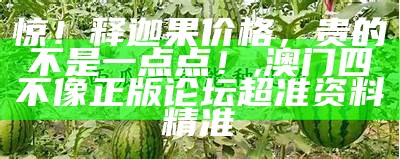 惊！释迦果价格，贵的不是一点点！, 澳门四不像正版论坛超准资料精准