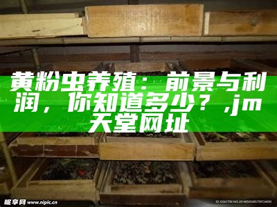 黄粉虫养殖：前景与利润，你知道多少？, jm天堂网址