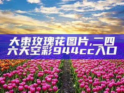 大束玫瑰花图片, 89049.com