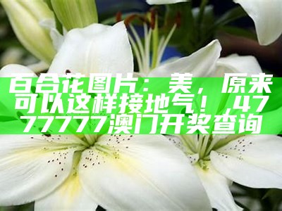 百合花图片：美，原来可以这样接地气！, 4777777澳门开奖查询