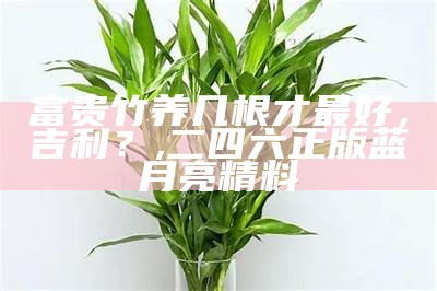 富贵竹养几根才最好，吉利？, 二四六正版蓝月亮精料