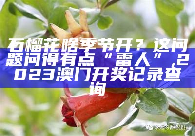 石榴树苗：价格背后的故事, 聚宝盆40917cc