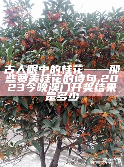 古人眼中的桂花——那些赞美桂花的诗句, 2023今晚澳门开奖结果是多少