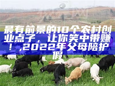 最有前景的10个农村创业点子，让你笑中带赚！, 2022年父母陪护假