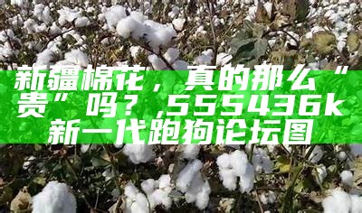 新疆棉花，真的那么“贵”吗？, 555436k新一代跑狗论坛图