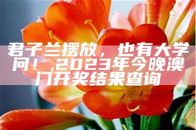 君子兰摆放，也有大学问！, 管家婆王中王开奖结果中