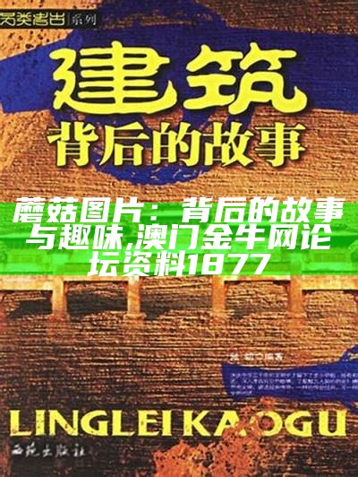 2025年1月7日 第75页