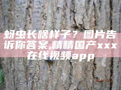 蚜虫长啥样子？图片告诉你答案, 精精国产xxx在线视频app