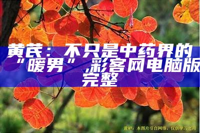 黄芪：不只是中药界的“暖男”, 彩客网电脑版完整