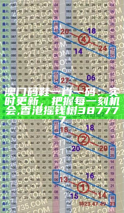 澳门必中三肖三码数据设计策略指南, 澳门抓码王618