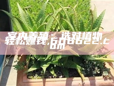 室内养殖：选对植物，轻松赚钱, 606622.com