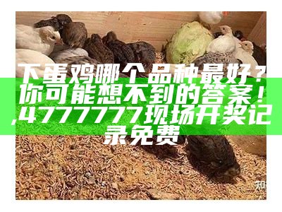 下蛋鸡哪个品种最好？你可能想不到的答案！, 4777777现场开奖记录免费