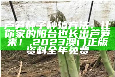 芦笋种子种植方法：让你家的阳台也长出芦笋来！, 2023澳门正版资料全年免费