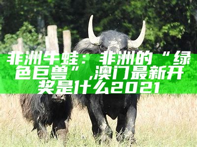 非洲牛蛙：非洲的“绿色巨兽”, 澳门最新开奖是什么2021