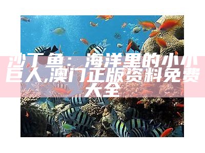 沙丁鱼：海洋里的小小巨人, 澳门正版资料免费大全