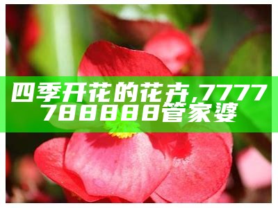 四季开花的木本花卉, 六台社区资料下载app