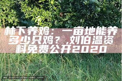 林下养鸡：一亩地能养多少只鸡？, m55125cn网址彩吧图库