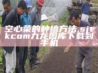 空心菜的种植方法, sjtkcom九龙图库下载到手机