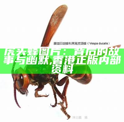 虎头蜂图片：背后的故事与幽默, 香港正版内部资料