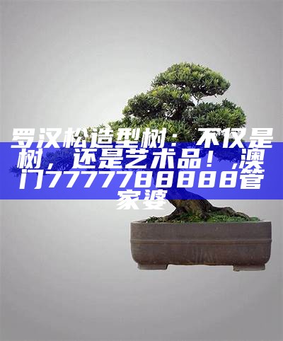 罗汉松造型图片大全：绿意盎然的艺术之旅, 香港小财神788188