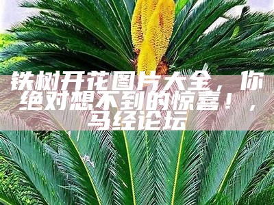 铁树开花图片大全，你绝对想不到的惊喜！, 马经论坛