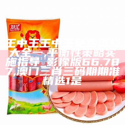 王中王王中王免费资料大全一,平衡性策略实施指导_影像版66.787, 01849澳门