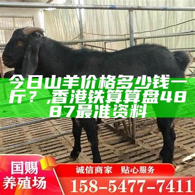 今日山羊价格多少钱一斤？, 香港铁算算盘4887最准资料